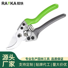 园艺花卉修枝剪加厚高碳钢树枝剪刀强力园林剪粗枝省力农用果枝剪