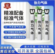 厂家直销甲烷标气色谱检测标准气色谱仪国标高纯化工厂用罐装