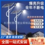 亮化公园大功率太阳能路灯