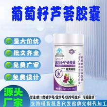 �F؛�{ñ���{�S����E�����B��������S�ְ��������J�C�z��