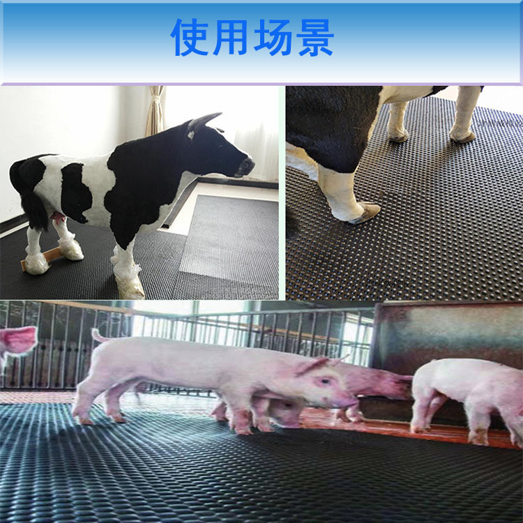 牛羊养殖场畜牧防滑垫加厚防滑防水耐磨马场马厩猪场幼崽保温垫子