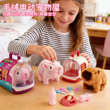 ��ͯ늄�С�����С����؈������ߕ��Е��c�^�uβ��ë�q������l