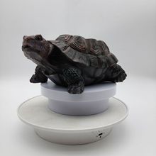 ������������֬�[�����⻨�@�e��ͥԺˮ���~���b����쾰�b�