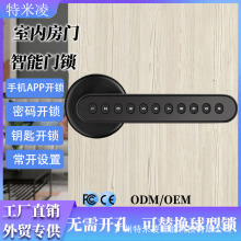 智能锁公寓密码门锁涂鸦室内机械按键木门锁办公室刷卡电子锁跨境