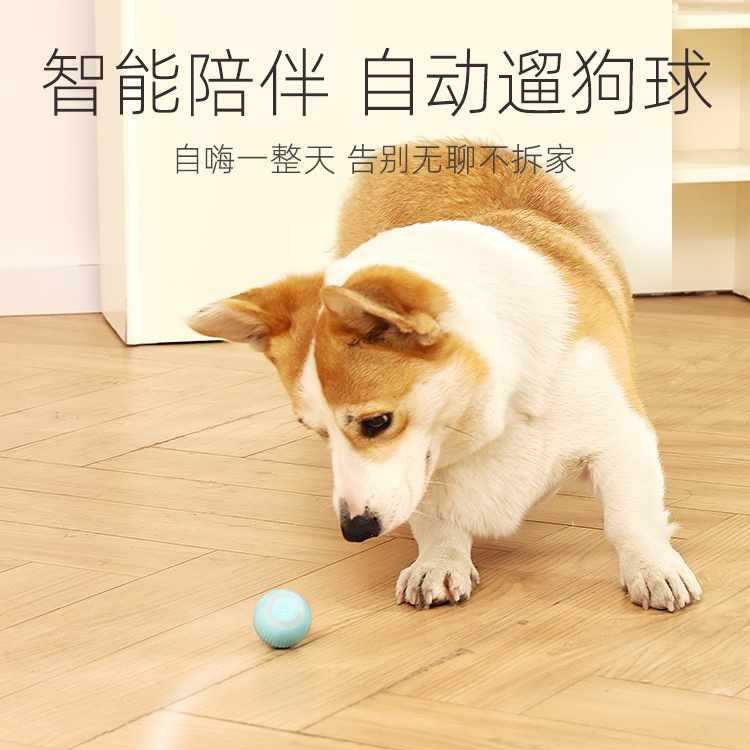 Dog Toy Ball to Amuse Dogs to Relieve Boredom Teddy Pomeranian Pet Dog Puppy Intelligent Automatic Dog Walking Ball