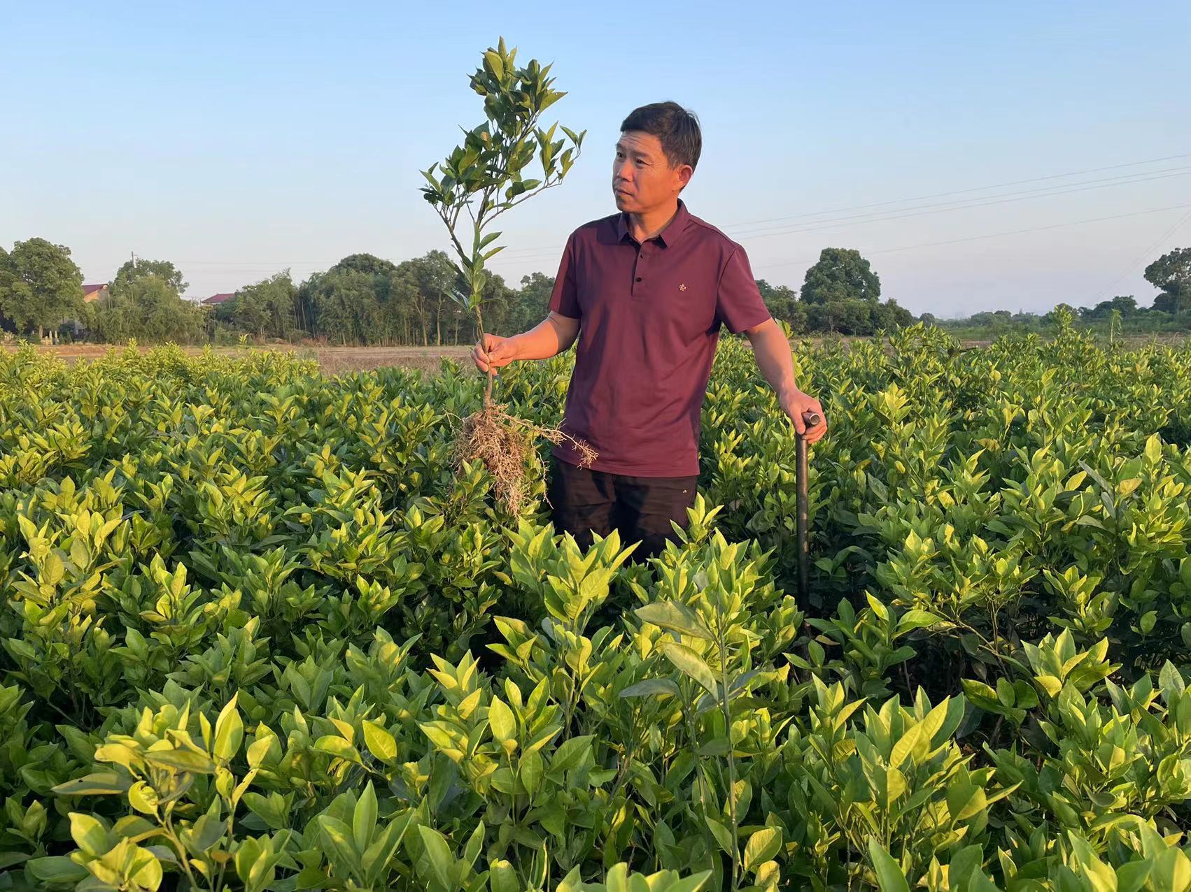 21fd5c2c5125865f61737aef821bea