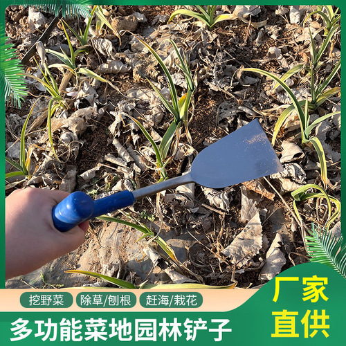 Wholesale Outdoor Garden Vegetable Digging and Foraging Spade - Garlic, Dandelion, and Chicory Digging Fork - Multi-functional Planting and Transplanting Spade