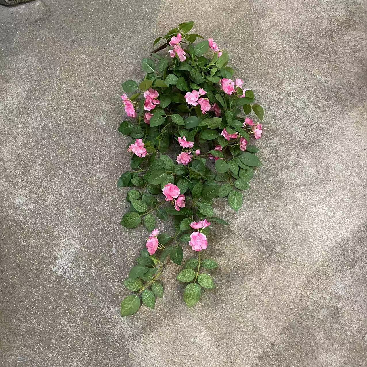 微信图片_20250103132333