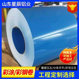 铝及铝合金材;不锈钢卷;不锈钢板