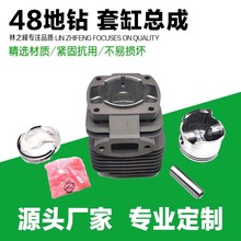 48F荚ڿәCh׉|ɸC48荸^