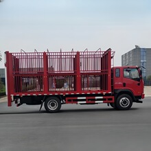 出口活猪活羊新款运猪车 厂家直供 大运3层畜禽运输车 养猪场