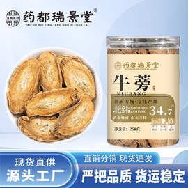 产地大货牛蒡茶 正宗黄金牛蒡牛蒡片茶源头批发代发258g/罐牛蒡茶