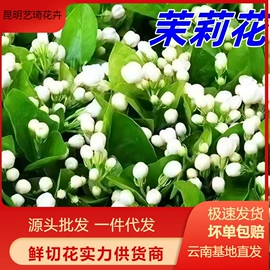 鲜切花