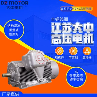 江苏大中电机马达YBKS高压电机隔爆型三相异步355kw375kw高效节能