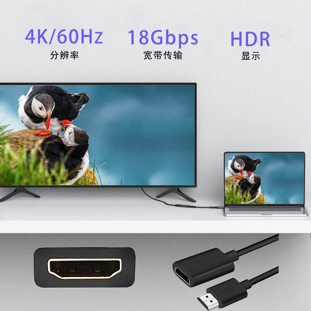 一键复制_20230407184813