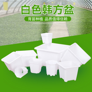 �S�����l��ɫ�n����Ӻ��̨�������ϻ���Nֲ�����nʽ����˽���