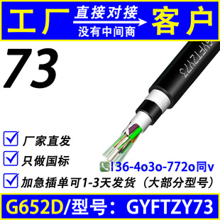 GYFTZY73-24B1.3�ǽ�����ȼ�������|4/8/36B16о12о48о��ģ���w