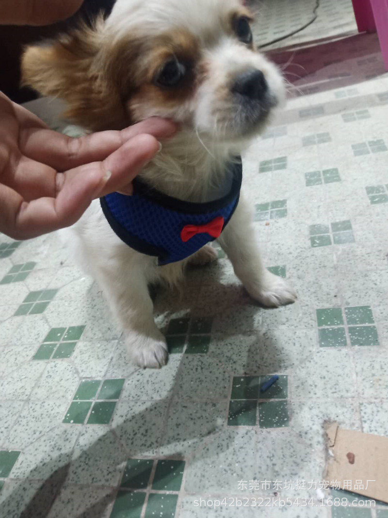 6b7f946889c7460692032a3024a1b4