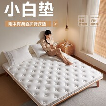 老人儿童护脊椰棕床垫硬垫宿舍卧室家用榻榻米公寓10cm薄棕垫厂家
