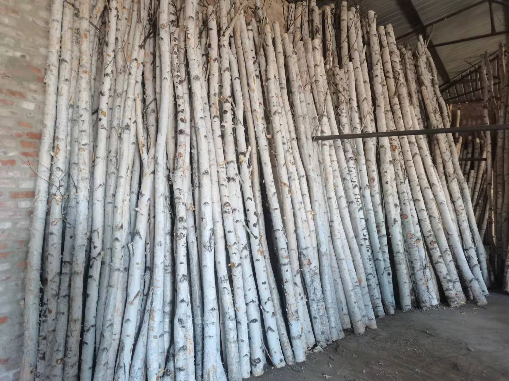 fb1faf3be1d3ec6961fd4a07a29cd5