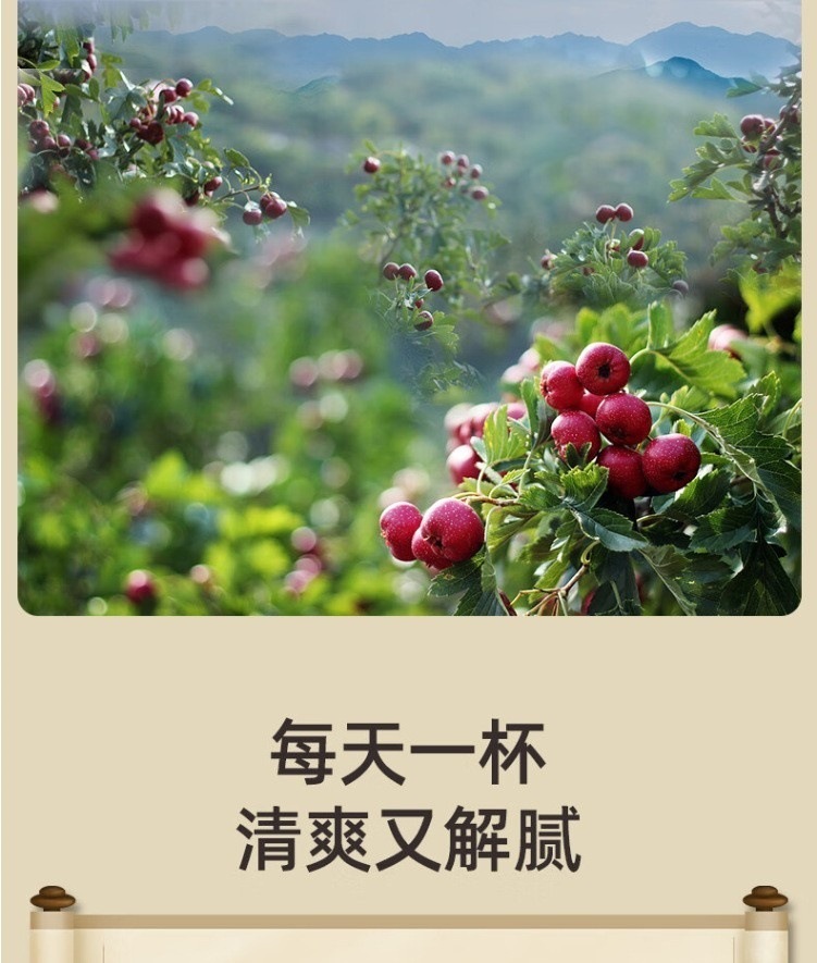 Seedless Hawthorn Rings Shan Zha 500g Dried Slices for Tea and Infusions specifications