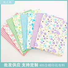 韩版清新小碎花纯棉斜纹服装面料做裙子娃衣床品被套布料厂家批发
