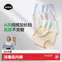 原厂菇娘家零染棉高腰内裤A类纯棉加长裆夏日无痕大码10A女三角裤