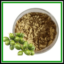 綠咖啡豆提取物50%綠原酸 食品級保健品原料可可綠原酸現貨批發