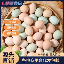 正宗农家散养土鸡蛋新鲜绿壳乌鸡蛋混合装儿童孕妇营养蛋整箱批发