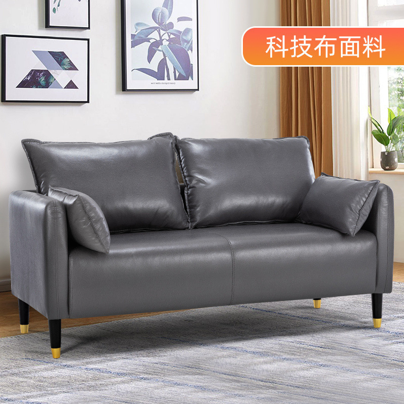 猫抓皮沙发小户型客厅简约双人两三人座北欧出租屋租房服装店简易|undefined