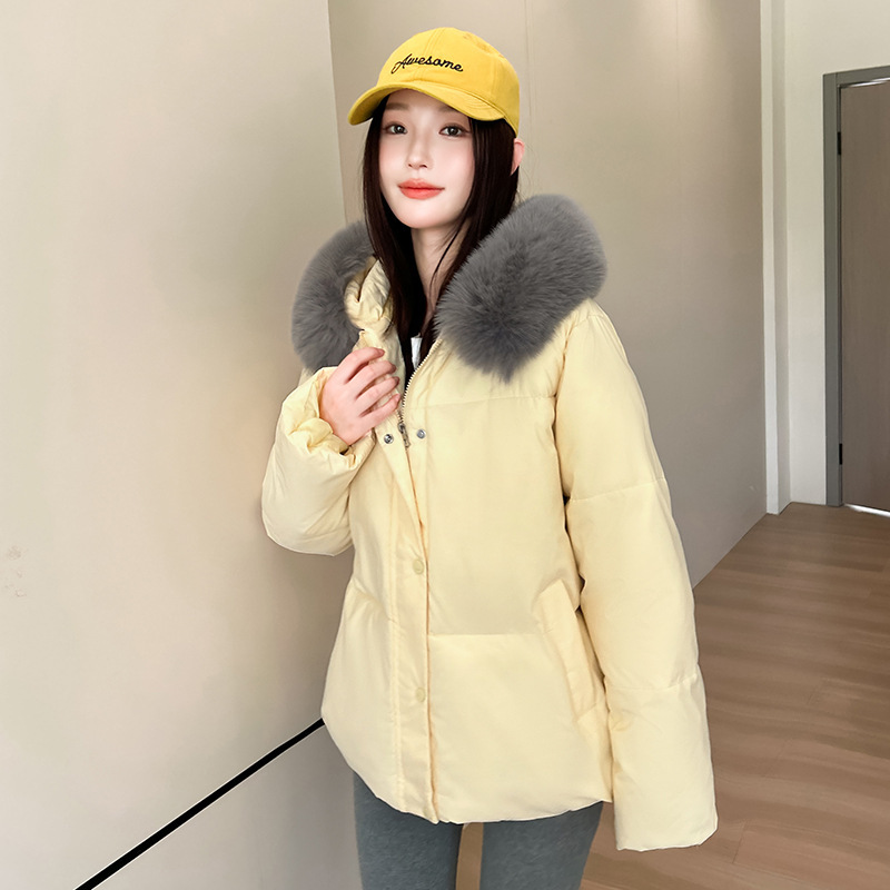 Europa y los Estados Unidos nuevo otoño y invierno 2025 pan plumón ropa de algodón mujer gruesa suelta pequeña chaqueta de algodón corta chaqueta de algodón