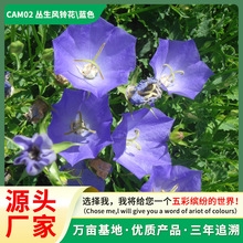 �����L⏲ݷN���̨�����L⏲�ֲ��ͥԺ�G�����ܷN��Դ�^�S�����l