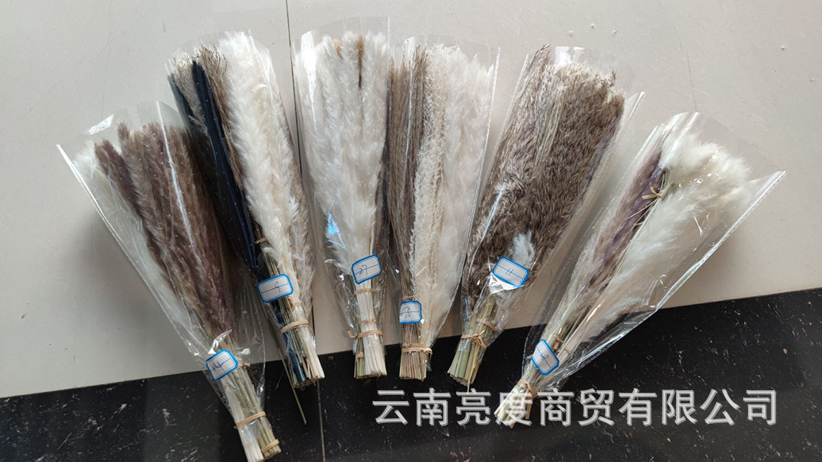 893933c4b3e692ccb0af51c594a3ce