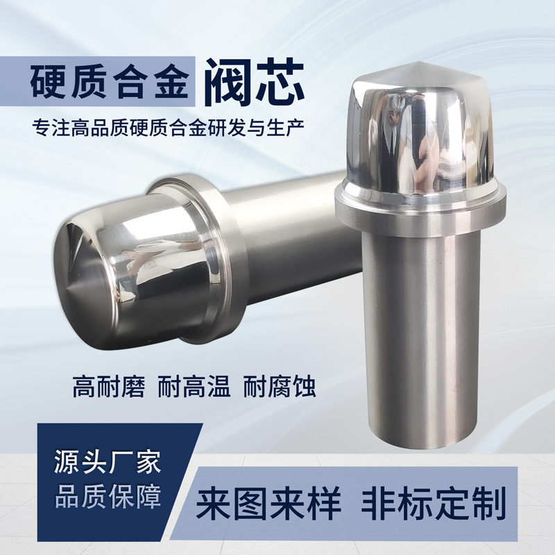阀芯 (14)