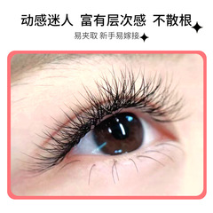 False eyelashes with a natural, dense, and wavy appearance, made of soft and closely spaced fibers, planted or grafted with eyelash extensions, shaped like a clover eyelash.