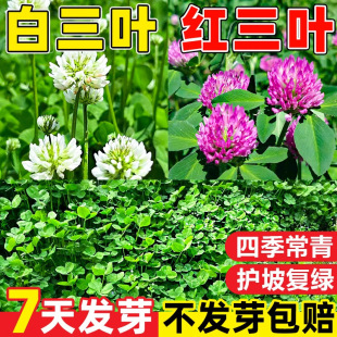 ���~�ݷN�Ӽt���~�����~�N�����\���ļ�����lѿ��G������