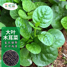 ~ľ˷Nr۶˷NļNͥԺNִ֧l