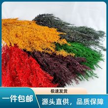 ����ǧ�ӽ��������S����F���~ �ɻ�ǧ�ӽ��}�Q��DIY���ϻ��h���