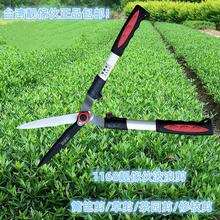 1168̨����Ʒ�n����@ˇ�����@���ݼ��G������@��������~���˼�