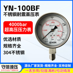 耐震圧力計100/160/200/250/300/400MPA全ステンレス圧力耐震圧力計