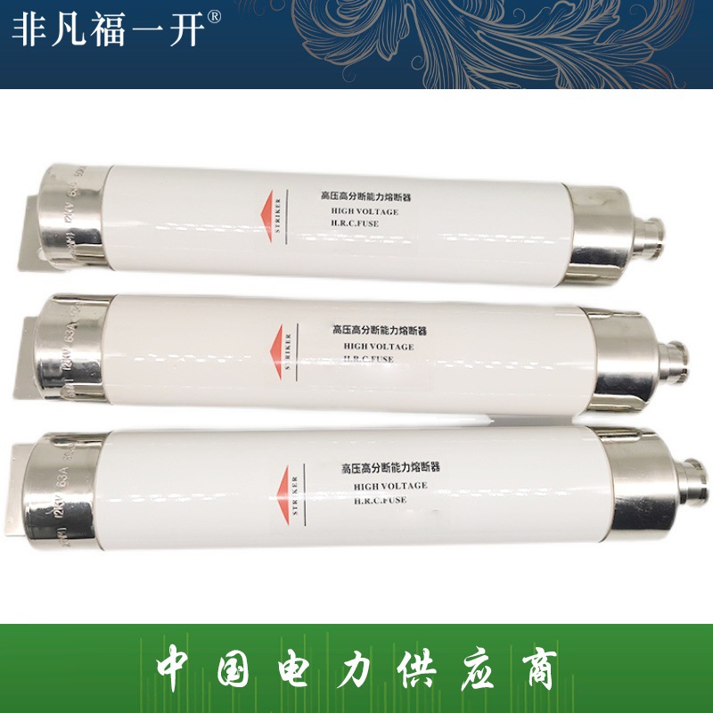 XRNM1-10-12KV/20A50A固定式高压熔断器限流熔断器管80A/63A/100A