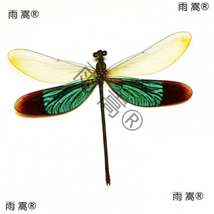 �w������˱����ј˱������x������չ����b��ͯ�ֹ��̌W��ȡ