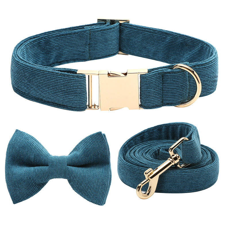 칼라 개 체인 활 (세트)