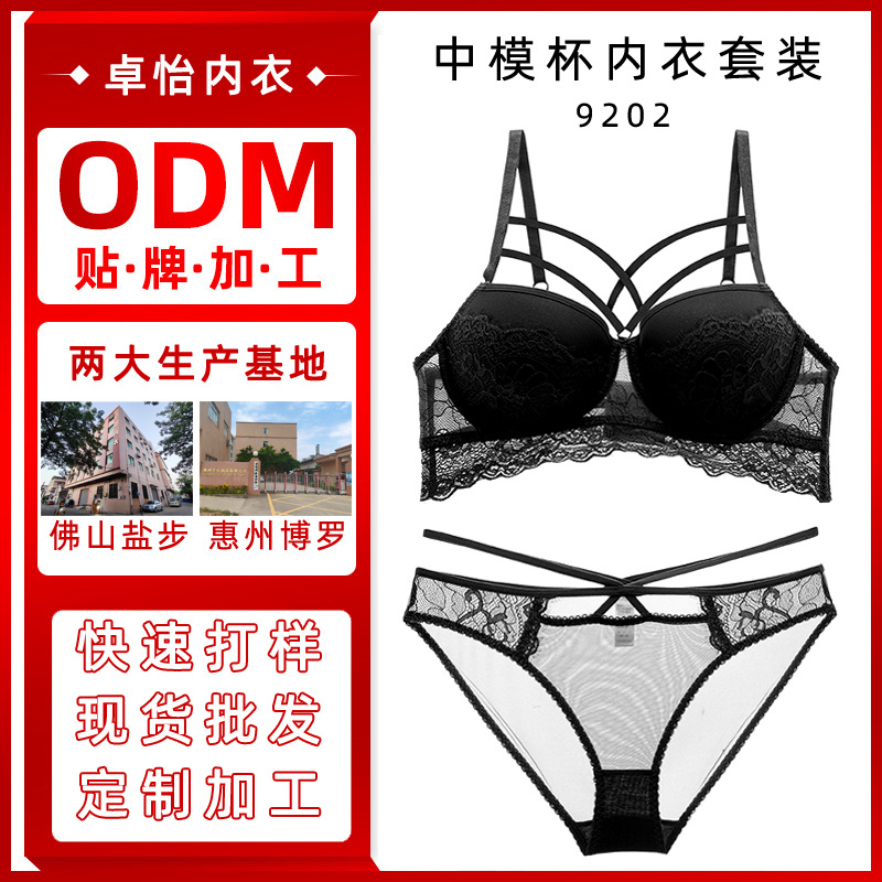 Procesamiento personalizado nuevo conjunto de sujetador sexy puro deseo de pecho pequeño sujetador grueso fruncido fabricante de ropa interior de encaje