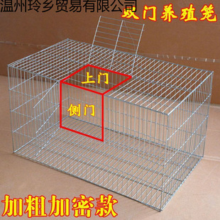 �u�\�Ӽ��ô�̖�Bֳ�\С�u�\���B�u�\�����r�\�r�u�\�����u�C�O��