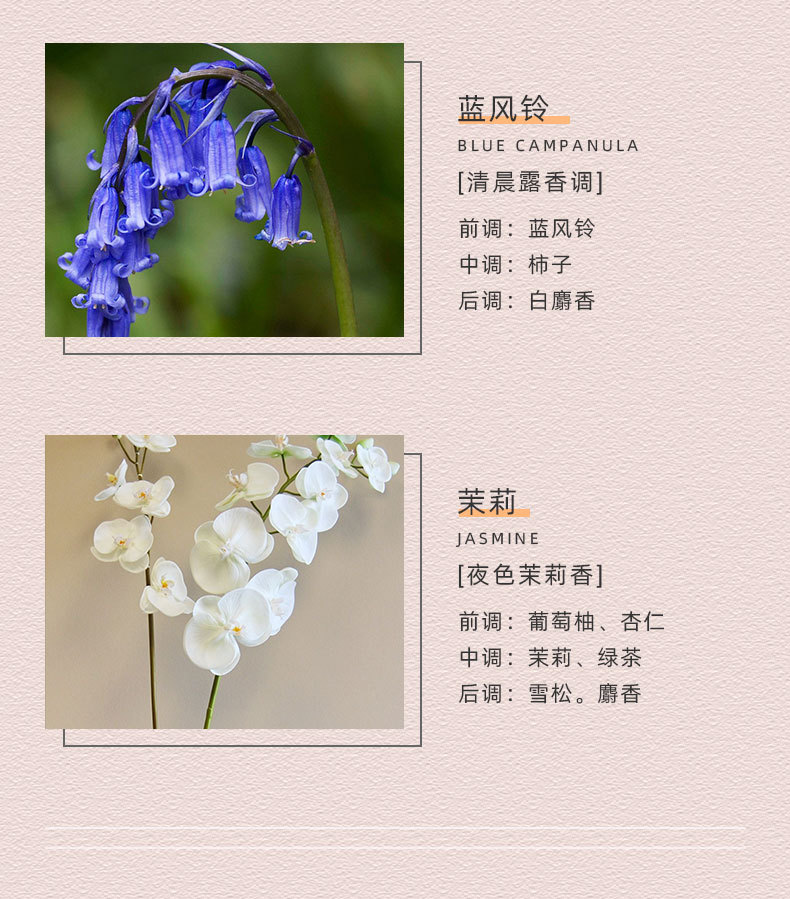 O1CN01b5SDhF26BO13CJBjV_!!2213976337623-0-cib.jpg?__r__=1675387448025