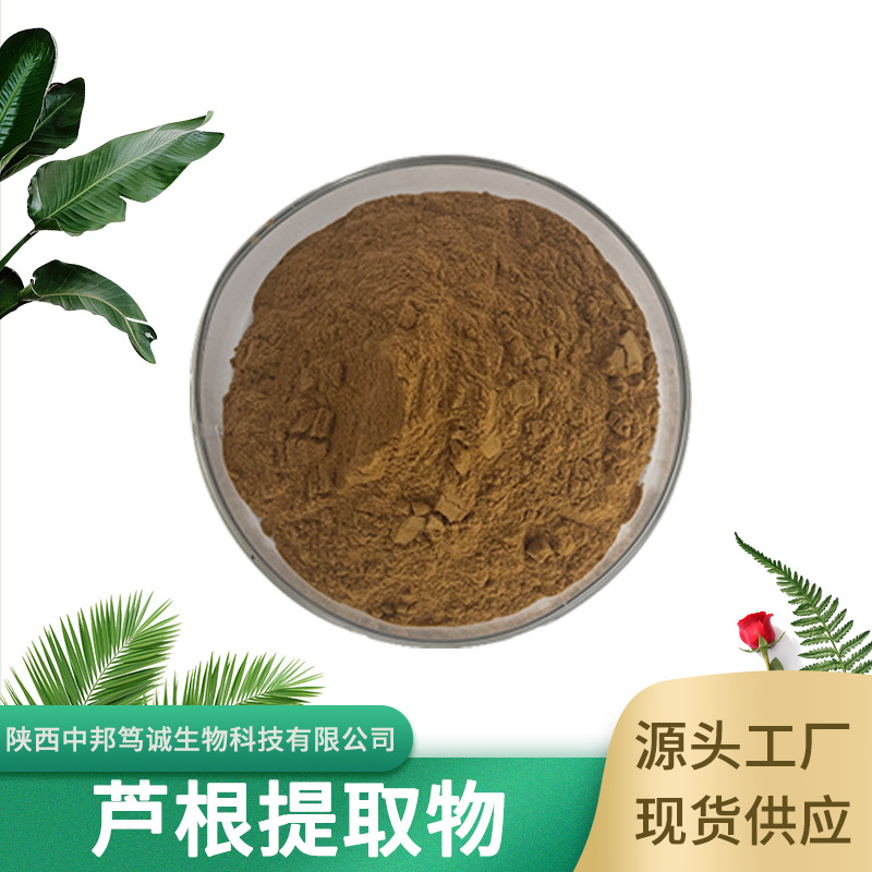 芦根提取物 水溶芦根粉 芦根浸膏粉 芦根萃取 喷干粉 现货供应