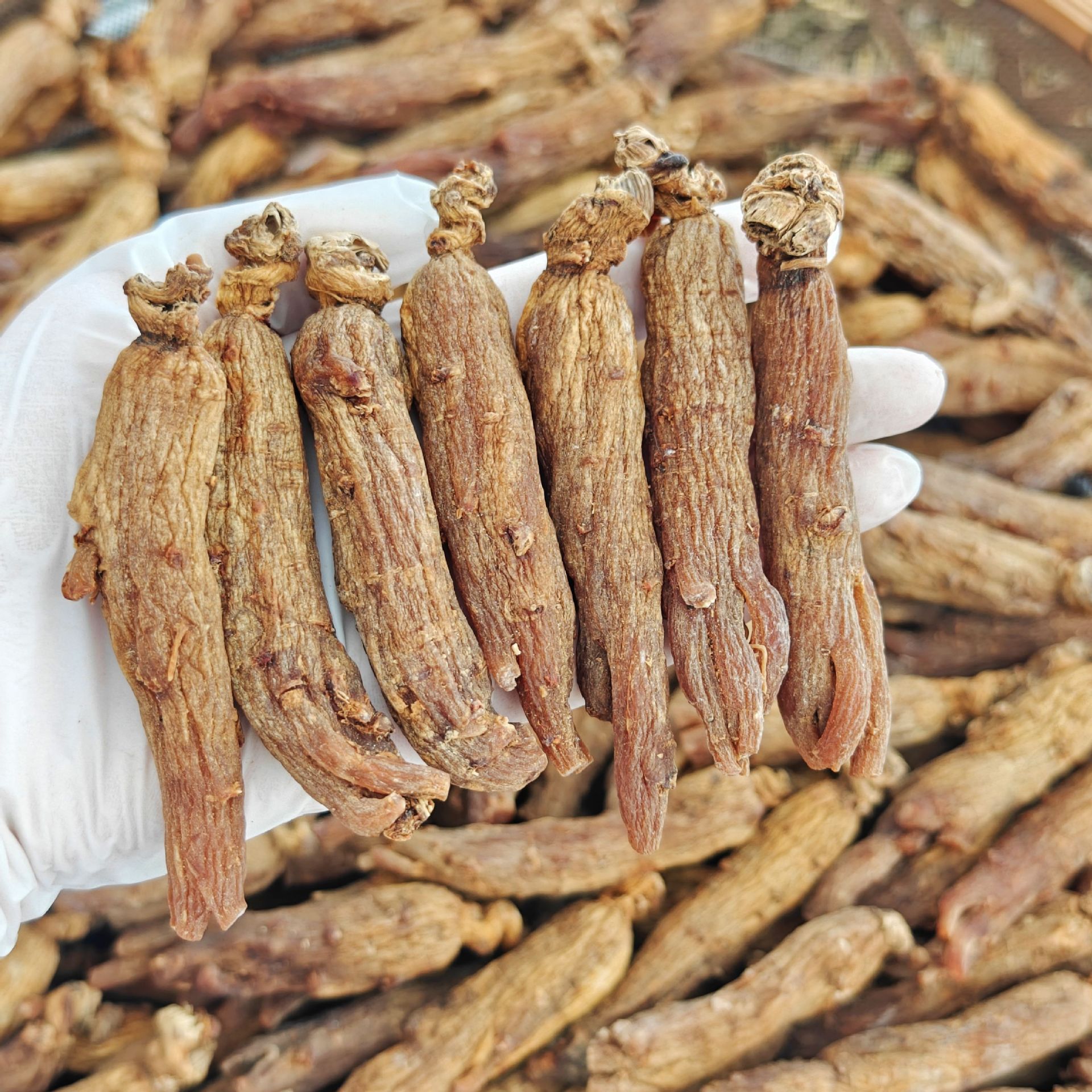 Premium Sugar-Free Red Ginseng Whole Roots and Slices Hong Shen Changbai Mountain 12 Year 500g Bulk Pack preparation