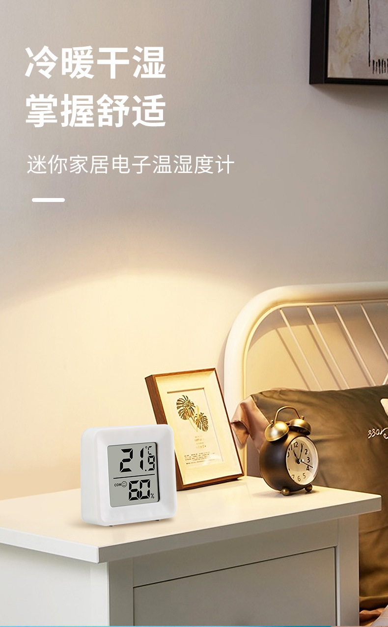 便携式家用高精度温度计