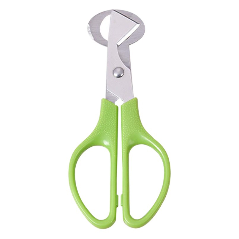 Tijeras de huevo de codorniz de acero inoxidable tijeras de huevo nuevo pájaro huevo tijeras huevo herramienta cocina artefacto